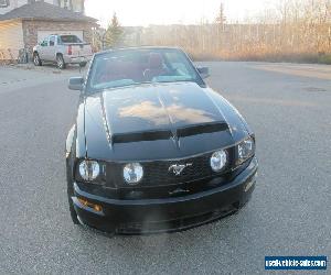 2006 Ford Mustang