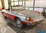 1967 Alfa Romeo Other for Sale