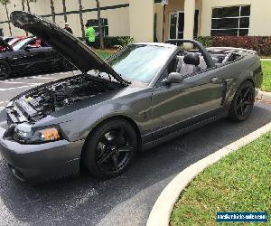 2003 Ford Mustang SVT Cobra Convertible 2-Door