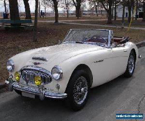 1963 Austin Healey 3000 3000 MK ii BJ7 2+2