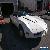 1981 Chevrolet Corvette Base Coupe 2-Door for Sale