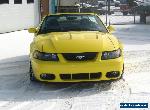 2003 Ford Mustang Cobra for Sale