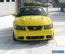 2003 Ford Mustang Cobra for Sale