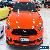 2016 Ford Mustang FM Fastback GT 5.0 V8 Competition Orange Automatic 6sp A for Sale