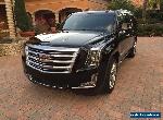 2017 Cadillac Escalade Platinum Sport Utility 4-Door for Sale