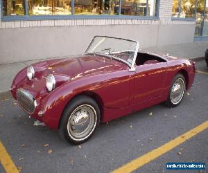 1960 Austin Healey Sprite