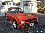 Triumph: TR-6 for Sale