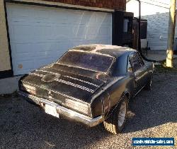 Pontiac: Firebird for Sale