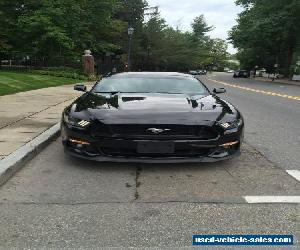 2015 Ford Mustang GT Coupe 2-Door