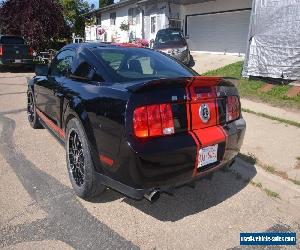 Ford: Mustang GT500 767 HP 5 cars 4 sale Supersnake Tribute U S car.