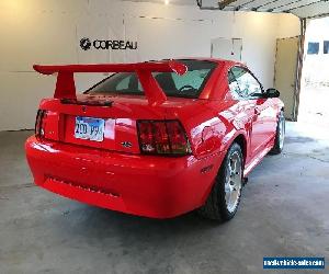 2000 Ford Mustang cobra R