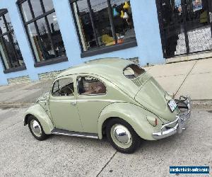 Volkswagen: Beetle - Classic Standard