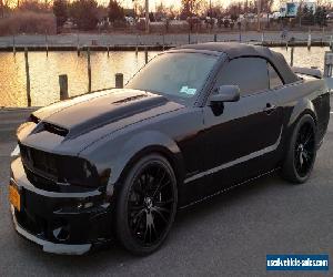 2006 Ford Mustang Custom