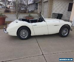 Austin Healey: 100-6 BN4 for Sale