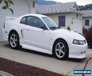 Ford: Mustang Roush