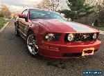 2009 Ford Mustang GT Coupe 2-Door for Sale