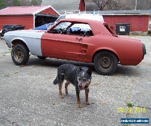 1967 Ford Mustang