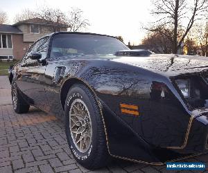 1980 Pontiac Trans Am