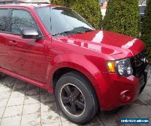 2010 Ford Escape