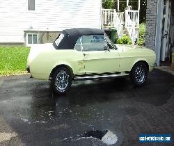 1967 Ford Mustang GT for Sale