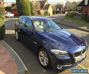 BMW 525d SE (218) Touring Tanzanite Blue with Professional Media