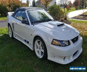 2004 Ford Mustang Saleen