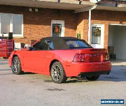 2003 Ford Mustang Cobra for Sale