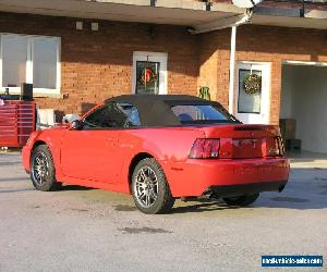 2003 Ford Mustang Cobra for Sale