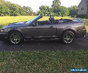 2003 Ford Mustang SVT Cobra Convertible 2-Door