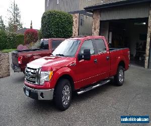 2009 Ford F-150 XTR