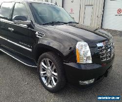 Cadillac: Escalade for Sale