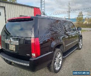 Cadillac: Escalade