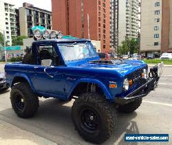 Ford: Bronco for Sale