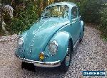 1959 VW Beetle Volkswagen BUG Cruiser Classic Retro Vintage Manual Rare Kombi for Sale