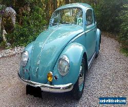 1959 VW Beetle Volkswagen BUG Cruiser Classic Retro Vintage Manual Rare Kombi for Sale