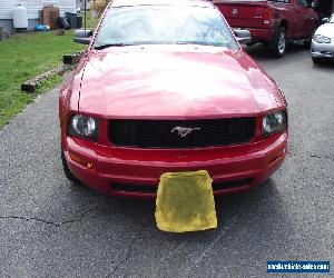 2005 Ford Mustang base