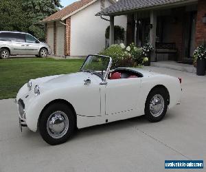 1959 Austin Healey Sprite