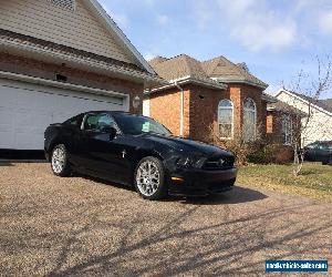 Ford: Mustang Pony Edition