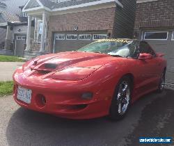 Pontiac: Trans Am WS6 for Sale