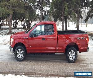 Ford: F-150 XLT