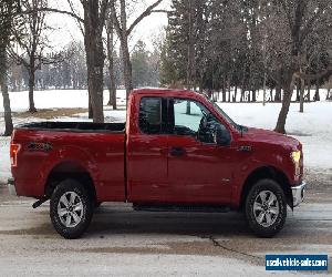 Ford: F-150 XLT