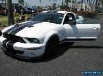 2007 Shelby GT500 for Sale