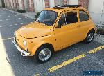 Fiat: 500 for Sale