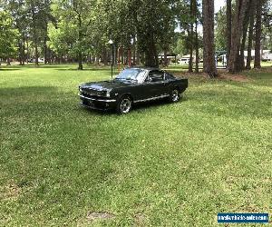 1966 Ford Mustang Fastback 