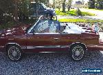 1984 Chrysler LeBaron for Sale