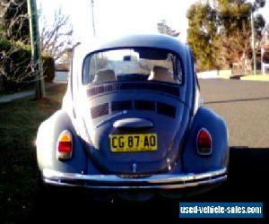 vw beetle