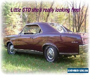 1967 Pontiac GTO GTO for Sale