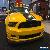 2013 Ford Mustang Boss 302 Coupe 2-Door for Sale