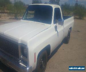 1979 Chevrolet C-10 other for Sale