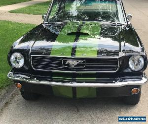 1966 Ford Mustang GT 350 TRIBUTE